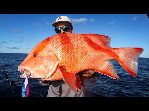 FISHING LUCINDA- CATCHING RED EMPEROR DAY 1
