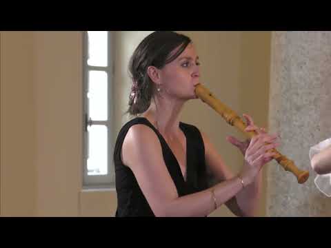 Vivaldi: Concerto in Do minore per flauto RV 441 (Largo) - La Risonanza Fabio Bonizzoni
