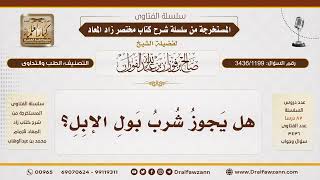 [3436/1199] هل يجوز شرب بول الإبل للتداوي؟