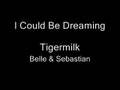 I Could Be Dreaming - Belle & Sebastian