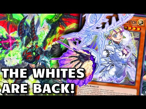 AZAMINA WHITE FOREST - Ten Minute Testing