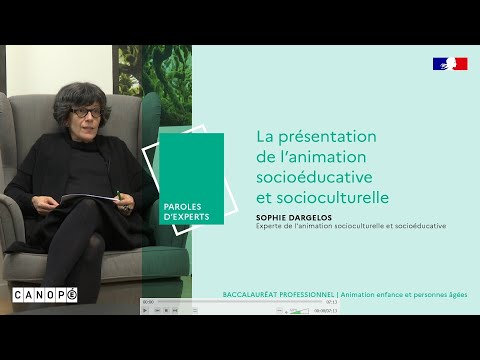 La présentation de l’animation socioéducative et socioculturelle - Sophie Dargelos