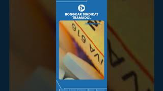 Download lagu Bongkar Sindikat Tramadol mp3