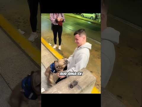THE EMOTIONAL REUNION BETWEEN A MAN AND HIS LOST DOGGY 🐶❤️