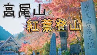 高尾山　紅葉登山 4K Mt. Takao Autumn Color Climbing