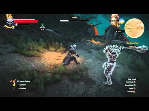 The Witcher 3: Pelea con Imlerith