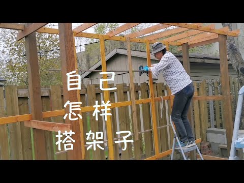 , title : '自己设计爬藤架 一个人怎样给爬藤的瓜类搭架子 How to set up a shelf for climbing vines'