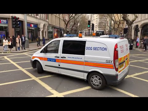 Metropolitan Police Responding- Holborn Dog Unit