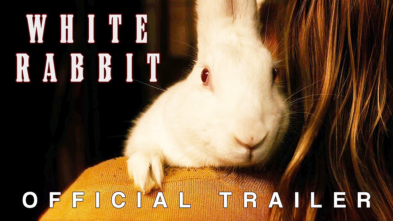 WHITE RABBIT | Official Trailer