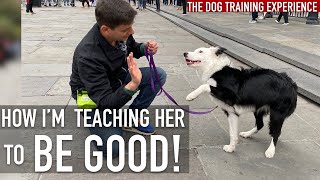 WATCH THIS if Your Canine Embarrasses You Public!