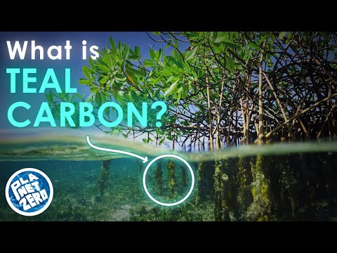 What Are the Colors of Carbon?