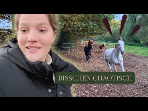 Network Failure & Reinhol Monologue 😅