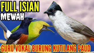 Download lagu masteran kutilang gacor full isian murai batu _ cucak ijo mp3 Download lagu masteran kutilang gacor full isian murai batu _ cucak ijo mp3