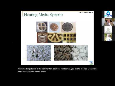 Biological Wastewater Treatment Process - Attached Growth Bio Film IFAS System