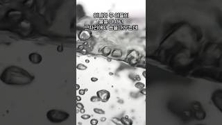 Download lagu 한국실화사건 사람이길 포기한 비정한 아버지의 민낯 #사건 #실화 #실화사건 #충격실화 mp3