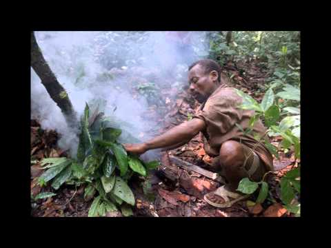 Mbuti Pygmies       Song after collecting honey & hunting song