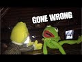 Bert And Kermit