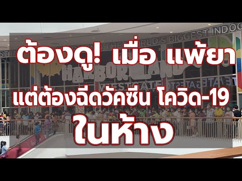 คลิกเพื่อดูคลิปวิดีโอ