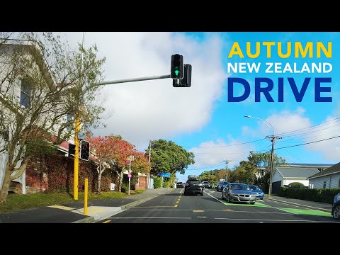 Autumn Drive in Wellington, New Zealand | Khandallah and Kaiwharawhara