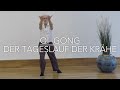 Der Tageslauf Der Krähe