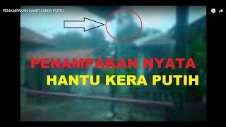 preview picture of video 'Penampakan HANTU KERA PUTIH DI TIRTO GG14 PEKALONGAN.3gp'