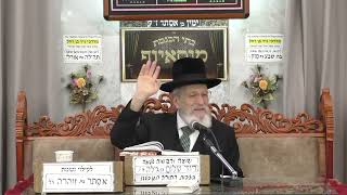 הרב שלמה בויאר | אקטואליה ופרשת השבוע | בית הכנסת מוסאיוף (בית הכנסת מוסאיוף) - התמונה מוצגת ישירות מתוך אתר האינטרנט יוטיוב. זכויות היוצרים בתמונה שייכות ליוצרה. קישור קרדיט למקור התוכן נמצא בתוך דף הסרטון