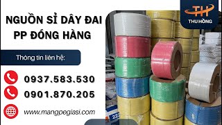 Cung cấp dây đai PP đóng hàng số lượng lớn – Giá sỉ cạnh tranh