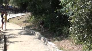 New Brunfells Lazy River