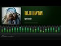 Buju Banton - Spectacular (Peanie Peanie Riddim) [HD]