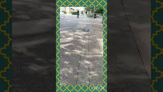 pretty little baby(divine singer nidhi Seth)17.6.25