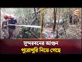 সুন্দরবনের আগুন পুরোপুরি নিভে গেছে | Sundarbans | Channel 24