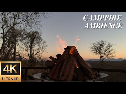 4K Campfire Ambience on Safari in South Africa from Sunset to Dark - Relaxing Fire and Nature Sounds