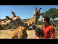 San Diego Zoo Safari Park
