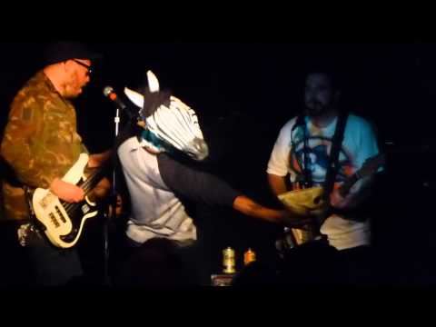 Zebroids, Hi-Dive, Denver, 11/16/13
