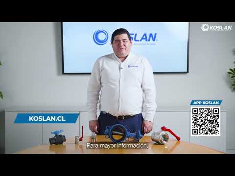 Válvulas de doble disco