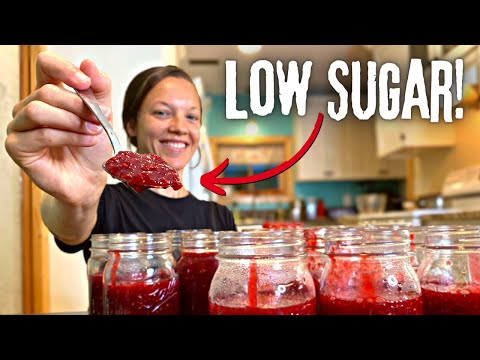 LOW SUGAR Raspberry Jam in 20 MINUTES!