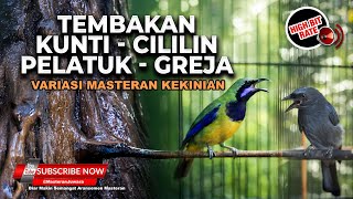 Download lagu 🔴 Live Masteran Kunti Pelatuk Cililin Kombinasi Greja Materi Cucak Cungkok Gacor vs Srigunting Abu mp3 Download lagu 🔴 Live Masteran Kunti Pelatuk Cililin Kombinasi Greja Materi Cucak Cungkok Gacor vs Srigunting Abu mp3