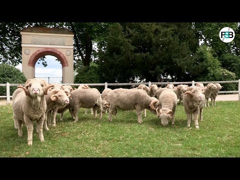 De la fourche à la fourchette