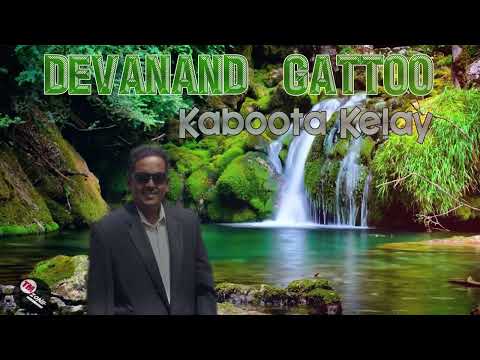 Devanand Gattoo - Kaboota Kelay ( Requested )