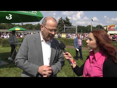 Galopp im Scheibenholz