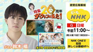 【どーも、NHK】7月19日(日)午前11:00～の放送は「ダーウィンが来た！20周年」と「金沢局のラジオ公開収録」| NHK