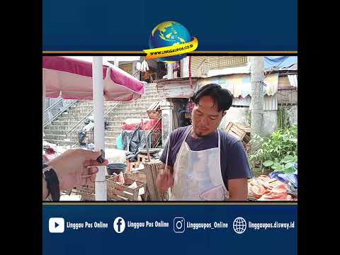 Harga Ayam Potong di Lubuk Linggau Turun