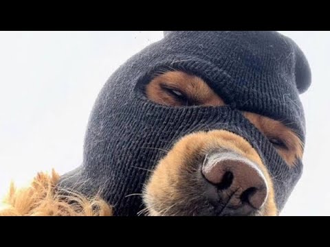 Hunchozz - Love hurts