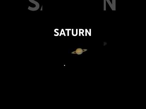 Hello🙋‍♂️Saturn 🪐,through NexStar 8SE