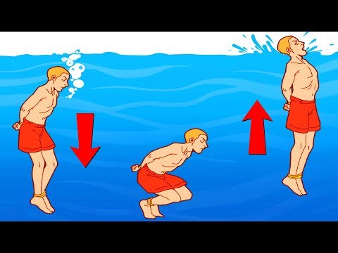 いつかあなたの人生を救うかもしれない13の簡単なヒント (13 Easy Tips That May Save Your Life One Day)