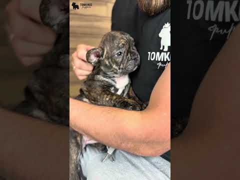 Video 3
