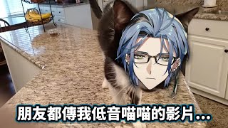 【Nijisanji EN】想成為貓的Hex與低音貓貓【Hex Haywire】【中文字幕】