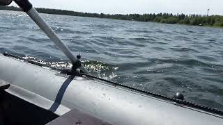 סרטון כלי תחבורה בים