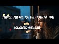 TUMSE MILNE KO DIL KARTA HAI SLOWED REVERB 90s OLD HINDI SONG
