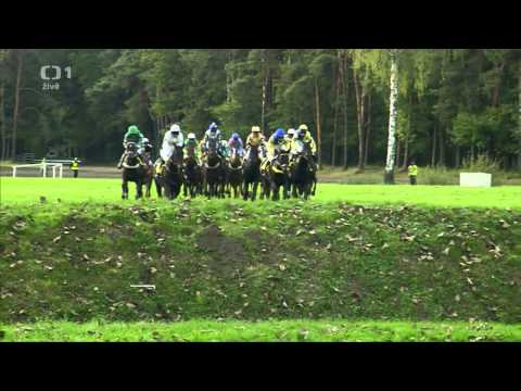 Velká Pardubická 2012-Orphee Des Blins(DS Pegas)Jan Faltejsek